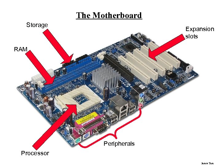 The Motherboard Storage Expansion slots RAM Peripherals Processor James Tam 