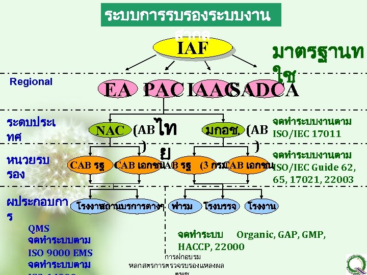 ระบบการรบรองระบบงาน สากล มาตรฐานท ใช EA PACIAAC SADCA IAF Regional NAC (ABไท ) ระดบประเ ทศ