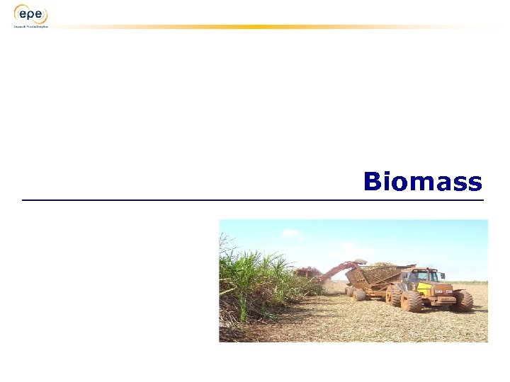 Biomass 