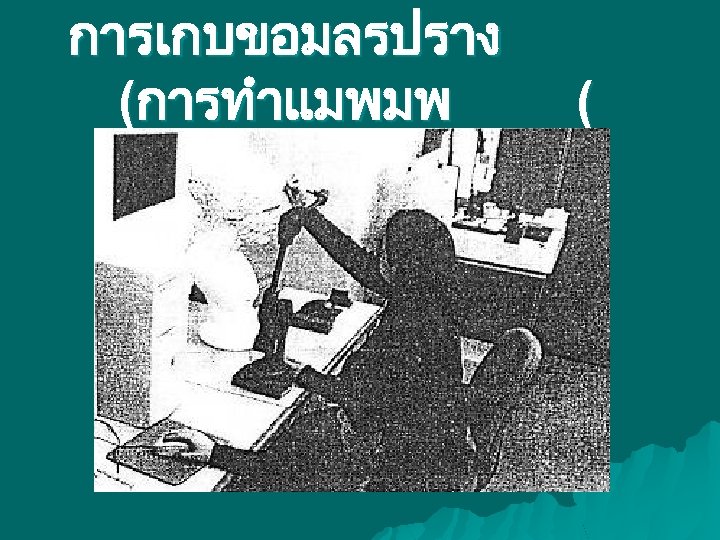 การเกบขอมลรปราง (การทำแมพมพ ( 