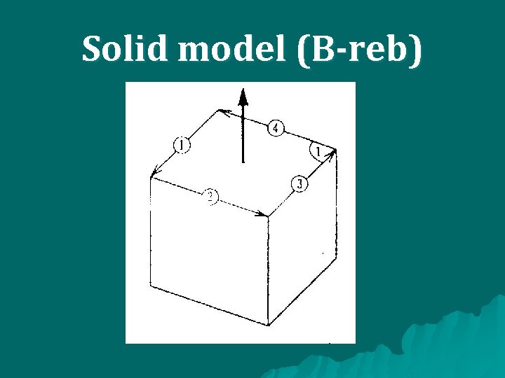 Solid model (B-reb) 