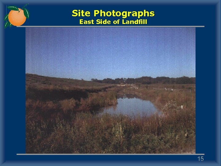 Site Photographs East Side of Landfill 15 