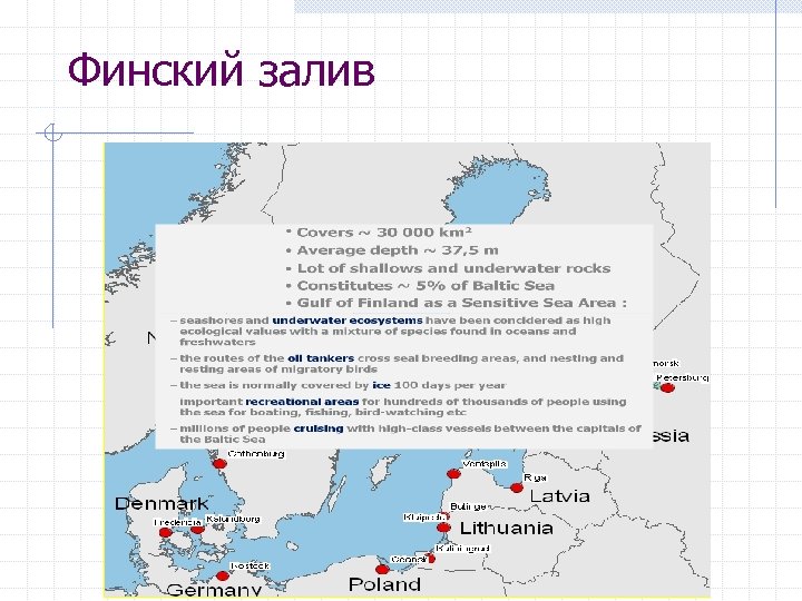 Финский залив 