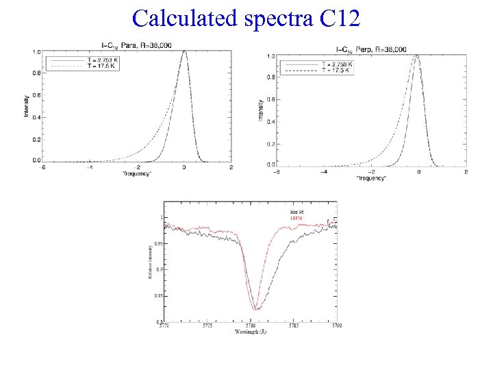 Calculated spectra C 12 