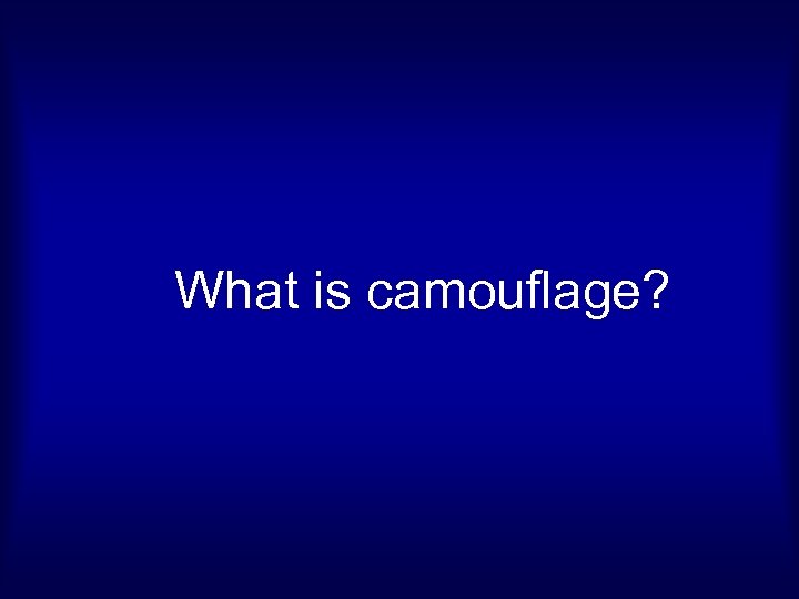 What is camouflage? 