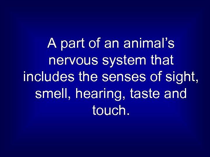 A part of an animal’s nervous system that includes the senses of sight, smell,