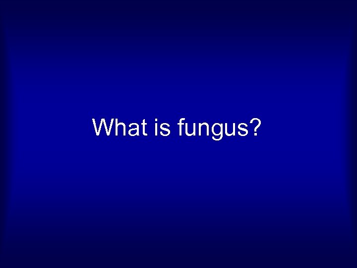 What is fungus? 