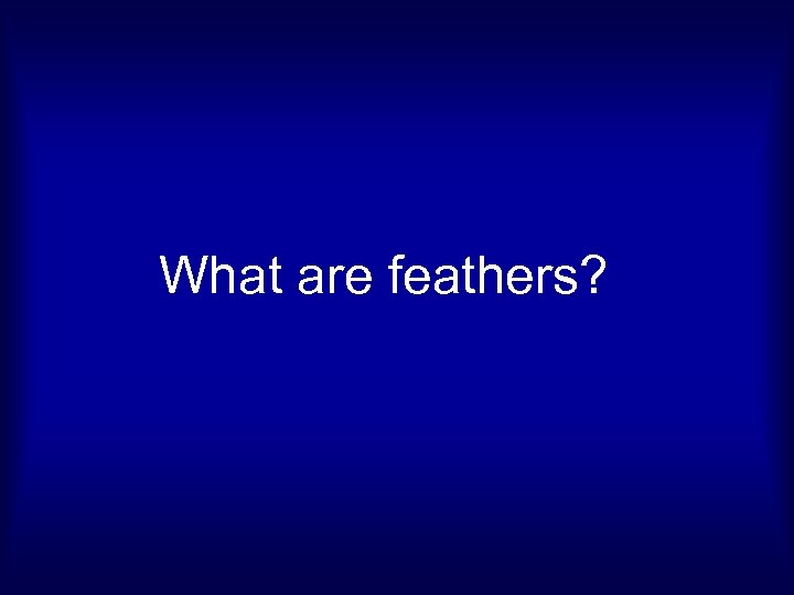 What are feathers? 