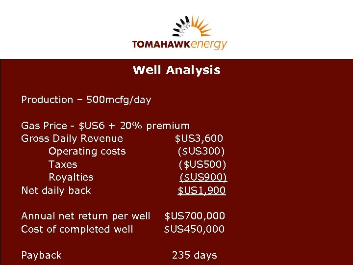 Well Analysis Production – 500 mcfg/day Gas Price - $US 6 + 20% premium