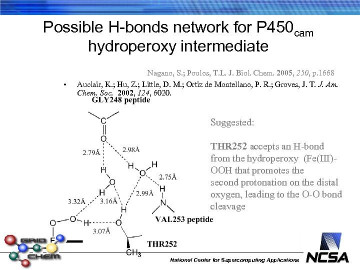 Possible H-bonds network for P 450 cam hydroperoxy intermediate • Nagano, S. ; Poulos,