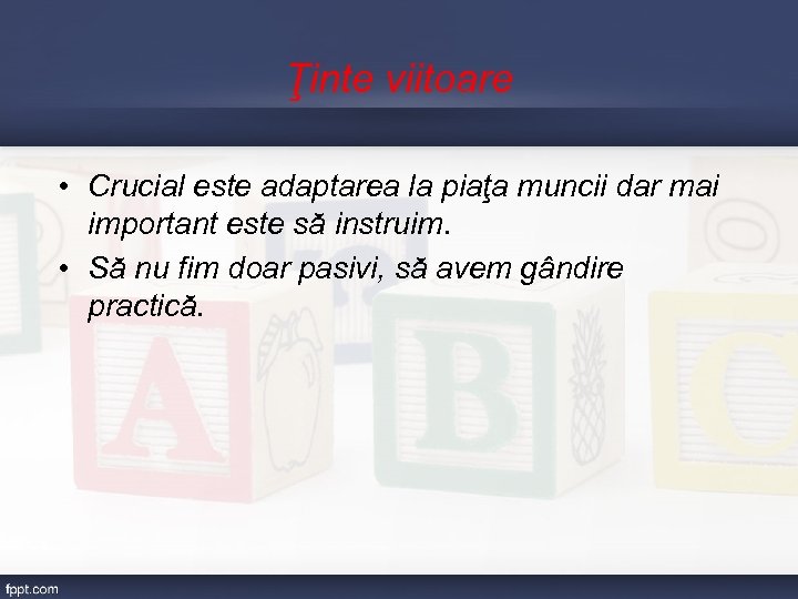 Ţinte viitoare • Crucial este adaptarea la piaţa muncii dar mai important este să