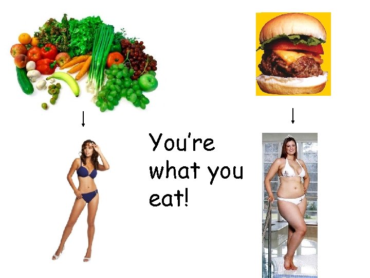 You’re what you eat! 