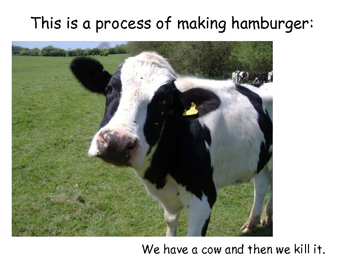 This is a process of making hamburger: We have a cow and then we