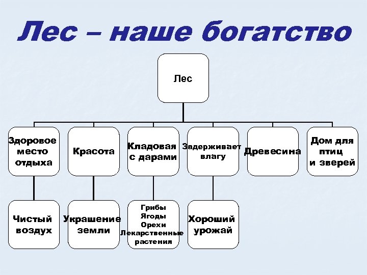 Лес – наше богатство Лес Здоровое место отдыха Чистый воздух Красота Кладовая Задерживает Древесина