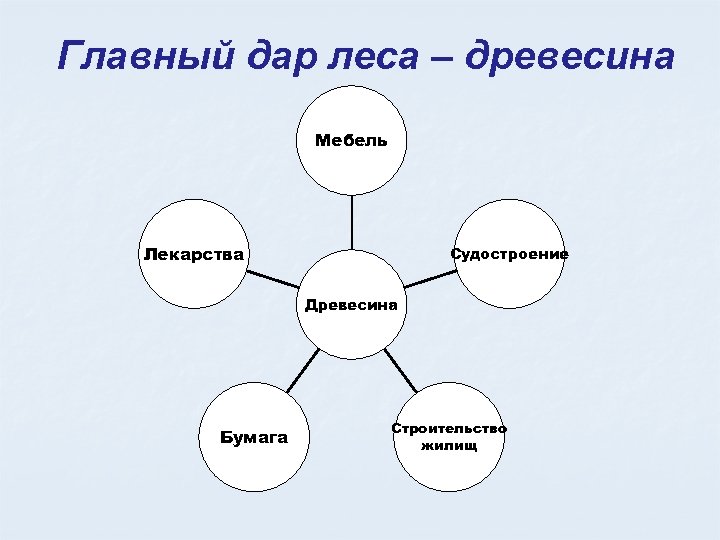 Главный дар леса – древесина Мебель Лекарства Судостроение Древесина Бумага Строительство жилищ 