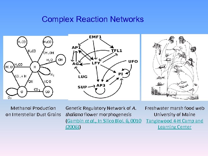 Complex Reaction Networks Methanol Production Genetic Regulatory Network of A. Freshwater marsh food web
