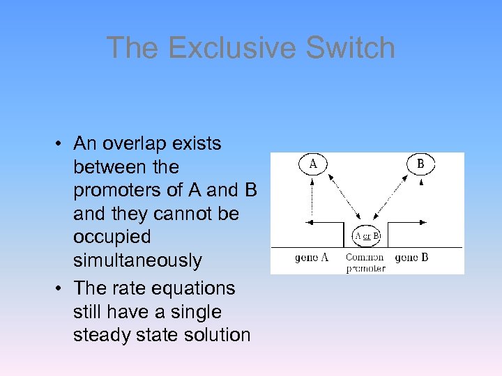 The Exclusive Switch • An overlap exists between the promoters of A and B