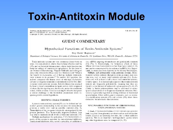Toxin-Antitoxin Module 