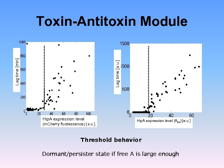 Lag time [a. u. ] Lag time [min] Toxin-Antitoxin Module Hip. A expression level