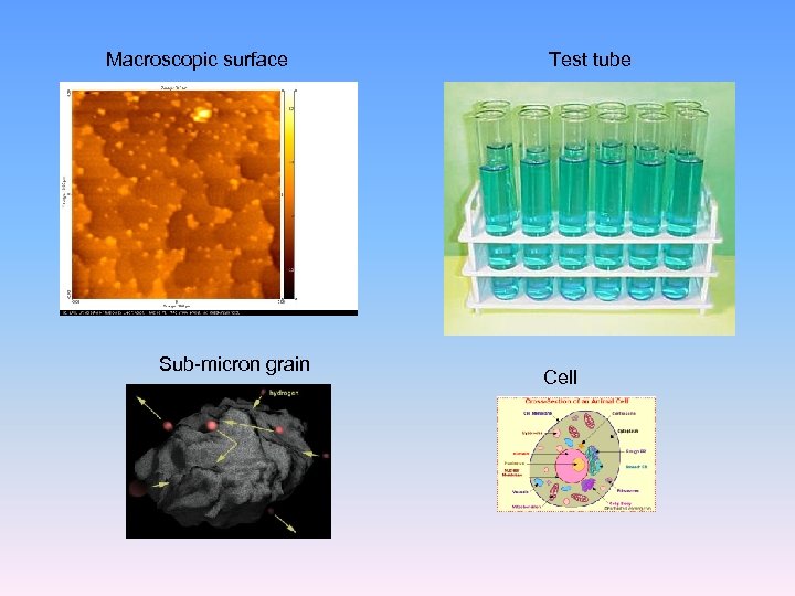 Macroscopic surface Sub-micron grain Test tube Cell 