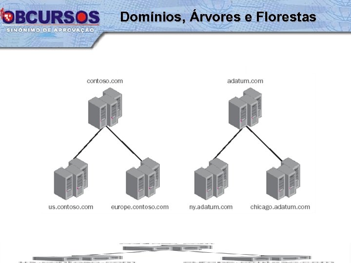 Domínios, Árvores e Florestas 