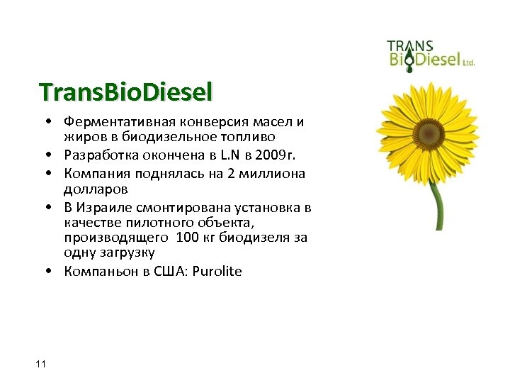 Trans. Bio. Diesel • Ферментативная конверсия масел и жиров в биодизельное топливо • Разработка