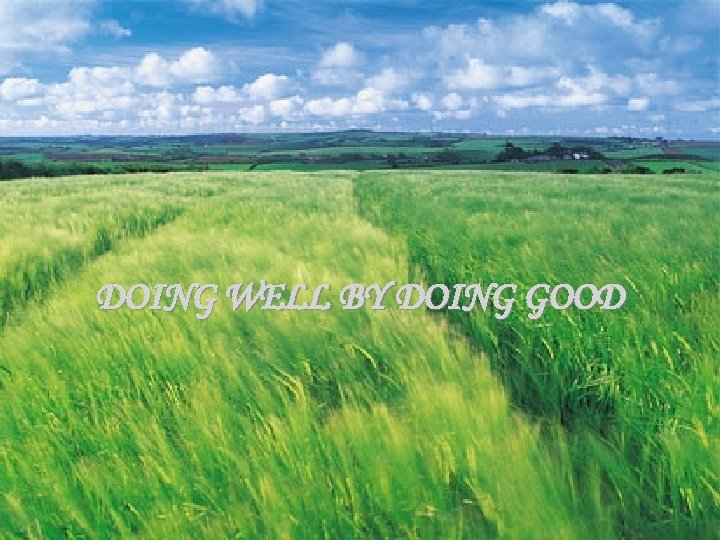 DOING WELL BY DOING GOOD 13 