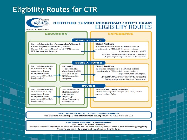 Eligibility Routes for CTR 