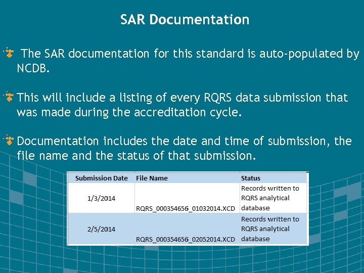 SAR Documentation The SAR documentation for this standard is auto-populated by NCDB. This will