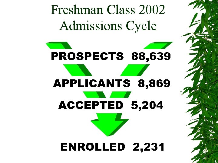 Freshman Class 2002 Admissions Cycle PROSPECTS 88, 639 APPLICANTS 8, 869 ACCEPTED 5, 204