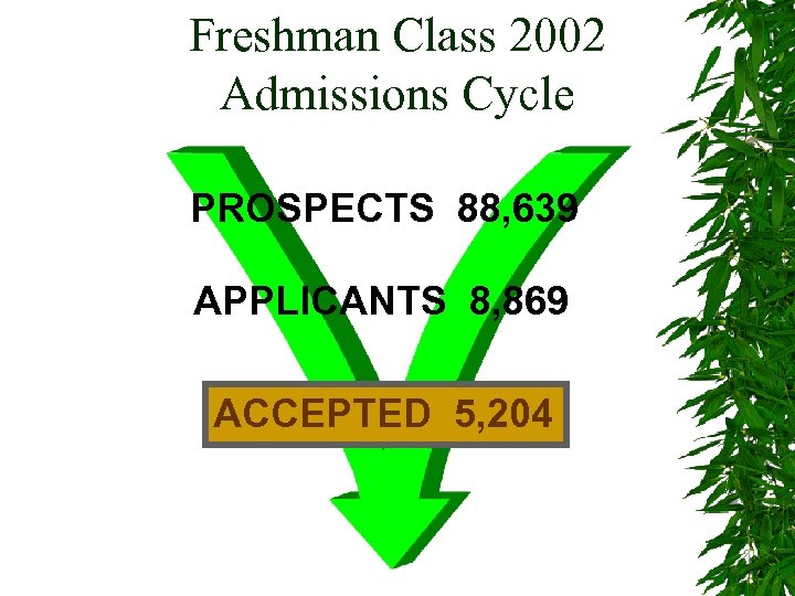 Freshman Class 2002 Admissions Cycle PROSPECTS 88, 639 APPLICANTS 8, 869 ACCEPTED 5, 204