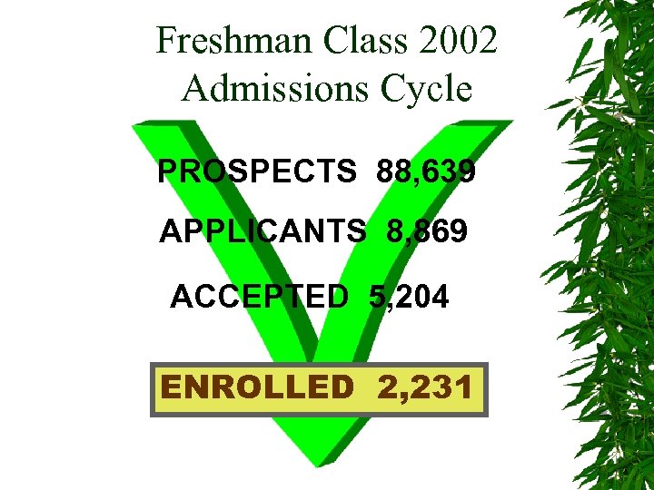 Freshman Class 2002 Admissions Cycle PROSPECTS 88, 639 APPLICANTS 8, 869 ACCEPTED 5, 204