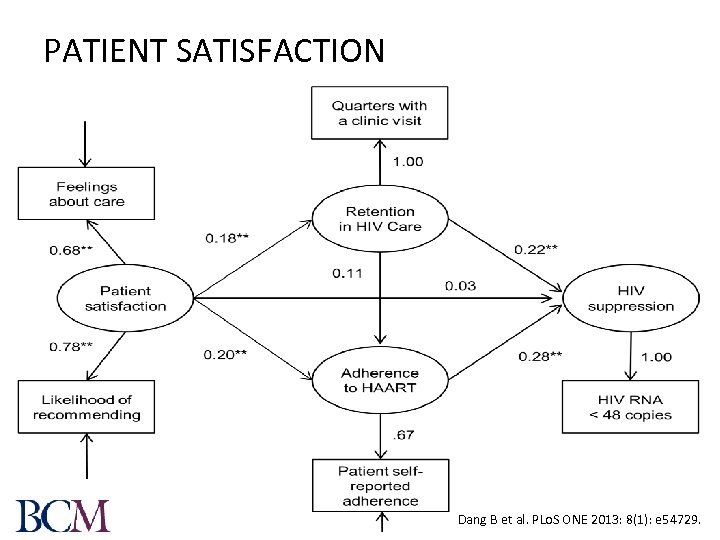 PATIENT SATISFACTION Dang B et al. PLo. S ONE 2013: 8(1): e 54729. 