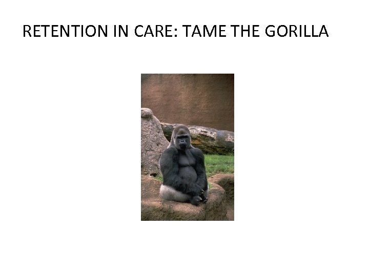 RETENTION IN CARE: TAME THE GORILLA 