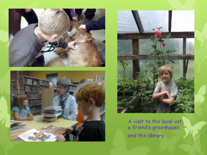 A visit to the local vet, a friend’s greenhouse, and the library. 