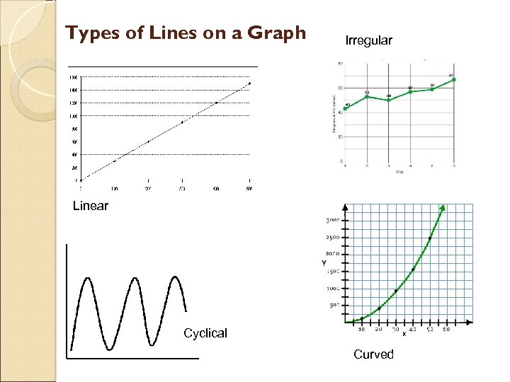 Types of Lines on a Graph Irregular Linear Cyclical Curved 