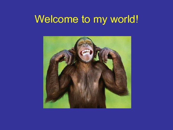 Welcome to my world! 