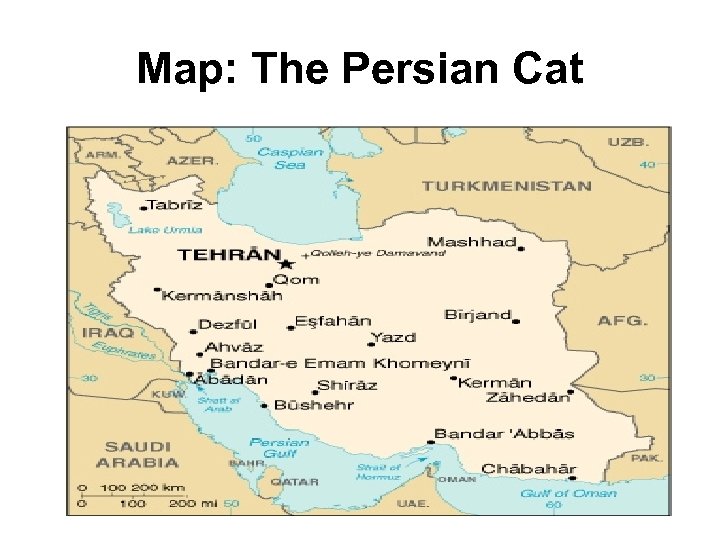 Map: The Persian Cat 