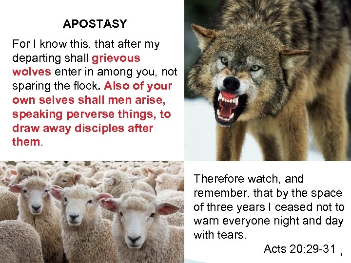 APOSTASY For I know this, that after my departing shall grievous wolves enter in