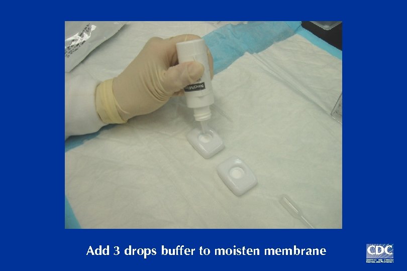 Add 3 drops buffer to moisten membrane 