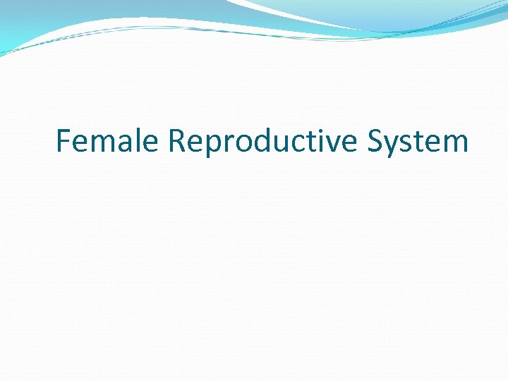 Female Reproductive System 