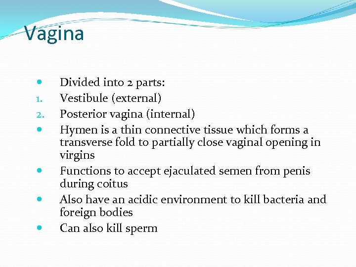 Vagina 1. 2. Divided into 2 parts: Vestibule (external) Posterior vagina (internal) Hymen is