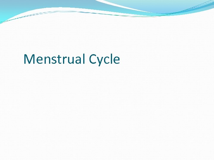 Menstrual Cycle 