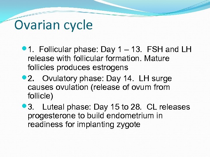 Ovarian cycle 1. Follicular phase: Day 1 – 13. FSH and LH release with