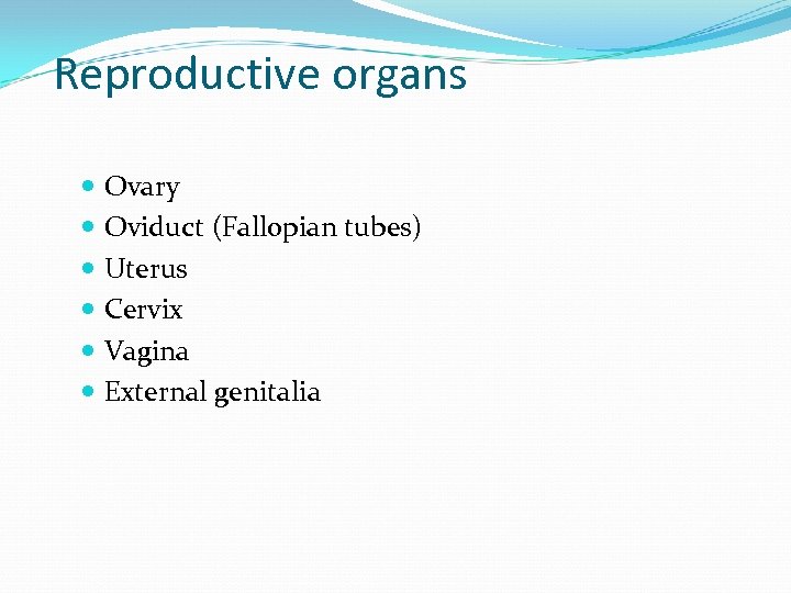 Reproductive organs Ovary Oviduct (Fallopian tubes) Uterus Cervix Vagina External genitalia 