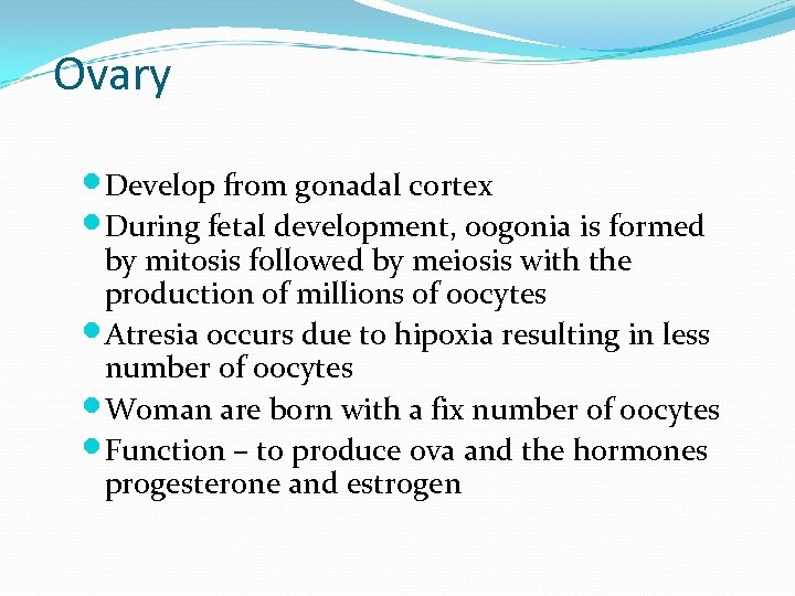 Ovary Develop from gonadal cortex During fetal development, oogonia is formed by mitosis followed