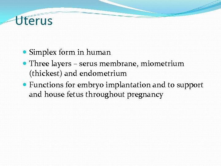 Uterus Simplex form in human Three layers – serus membrane, miometrium (thickest) and endometrium