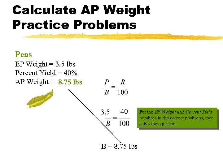 Calculate AP Weight Practice Problems Peas EP Weight = 3. 5 lbs Percent Yield