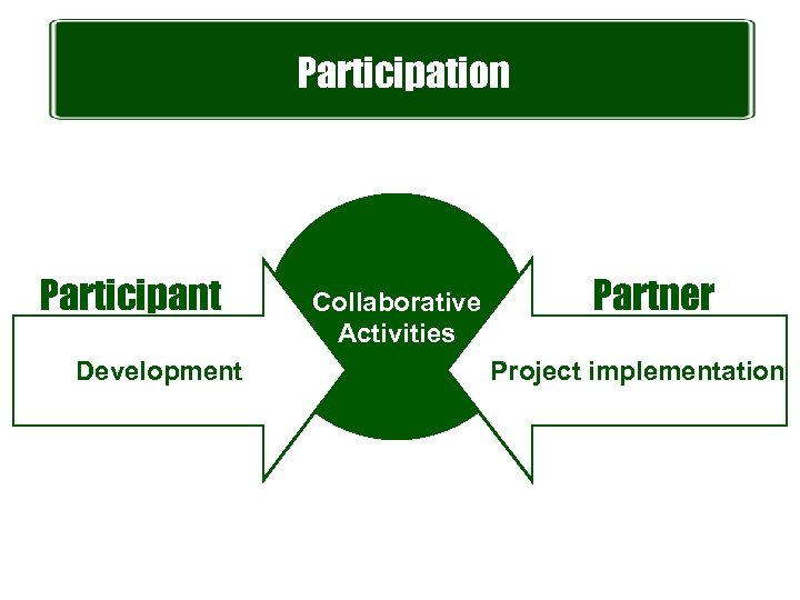 Participation Participant Development Collaborative Activities Partner Project implementation 