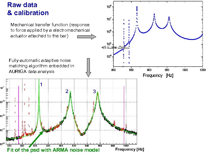 Raw data & calibration Mechanical transfer function (response to force applied by a electromechanical